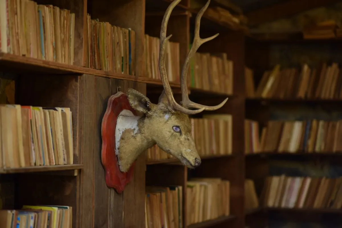 anime library